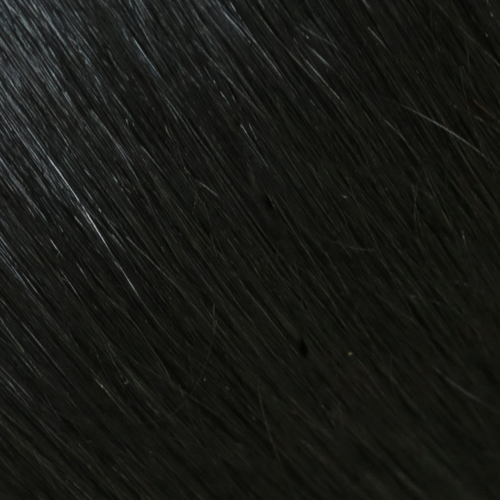 CLIP + GO Remy Hair Extensions — 22
